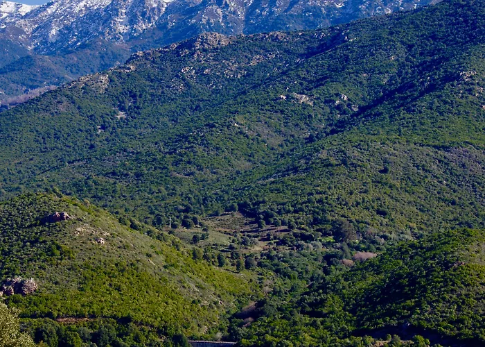 Casa Ib 4* Peri