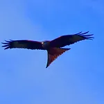 Casa Ib 4* Peri