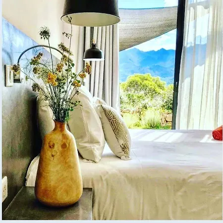 Casa Ib Bed & Breakfast Peri