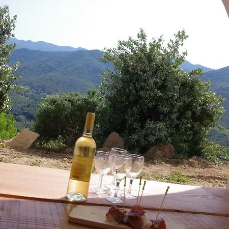 Bed & Breakfast Casa Ib 3*