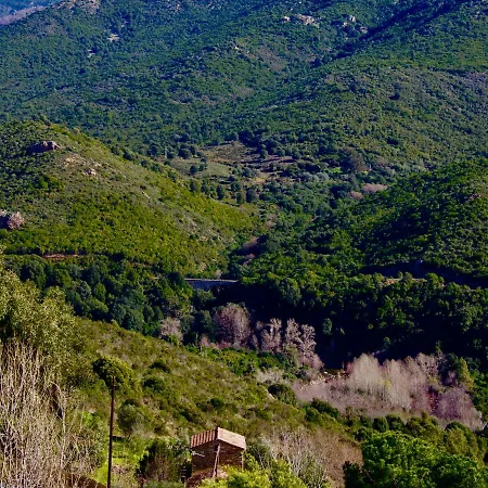 Bed & Breakfast Casa Ib 4*